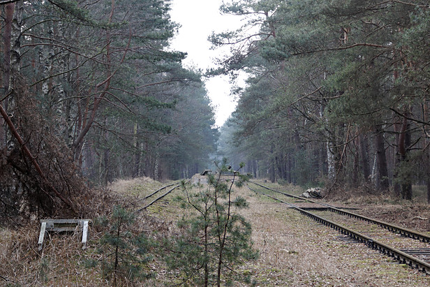 Militärfeldbahn Świnoujście Przytor: Umladerampe Regel-Schmalspur