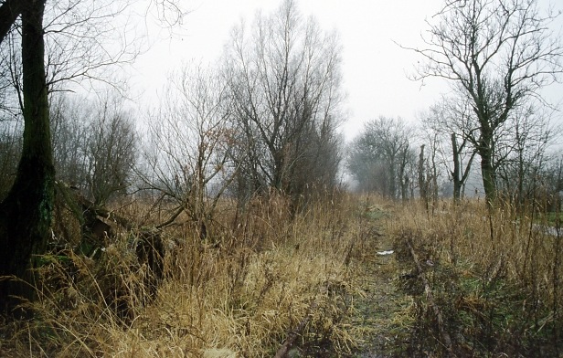 Wolgast Hafen