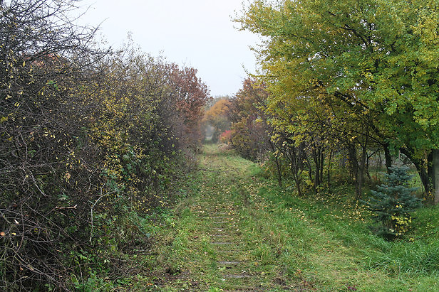 Franzburger Sdbahn