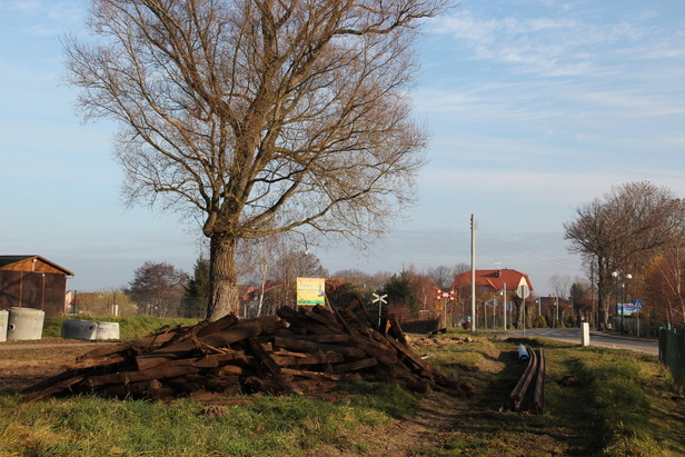 Bauarbeiten Trzesacz - Pogorzelica 2011