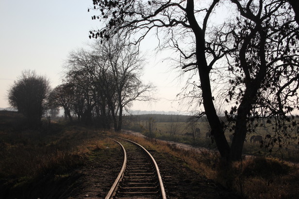 Bauarbeiten Trzesacz - Pogorzelica 2011