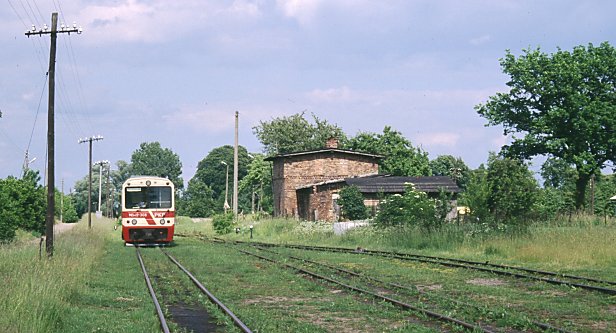 Stara Dabrowa - Trabki