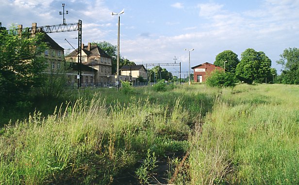 Stara Dabrowa - Trabki