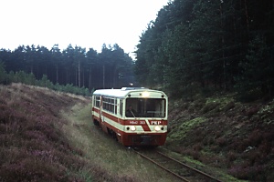 Wald bei Manowo